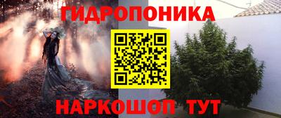 мдпв Дубна