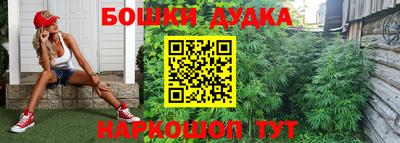 шишки Донецк