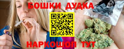 мдпв Дубна